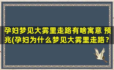 孕妇梦见大雾里走路有啥寓意 预兆(孕妇为什么梦见大雾里走路？解析梦境预示的意义)